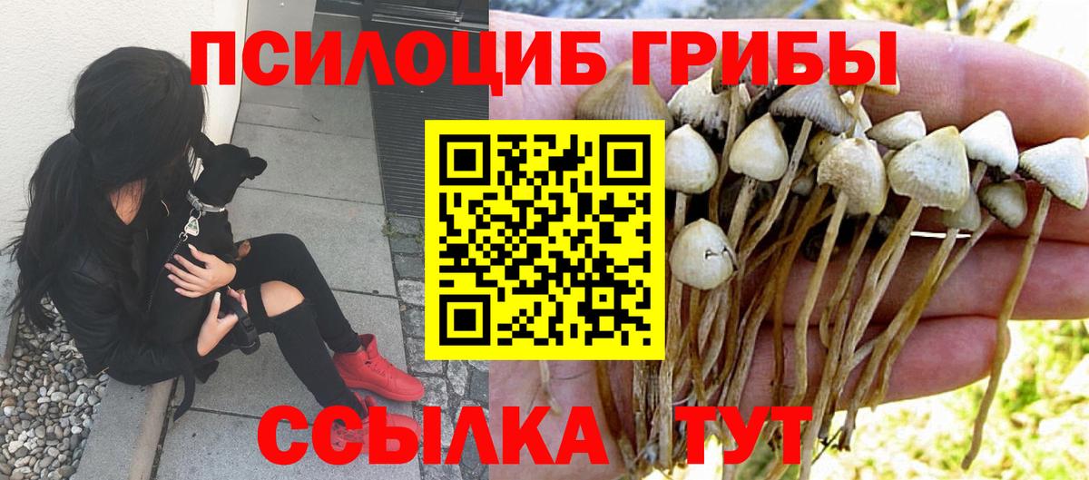 Псилоцибиновые грибы мицелий  Вход с VPN  Таганрог 