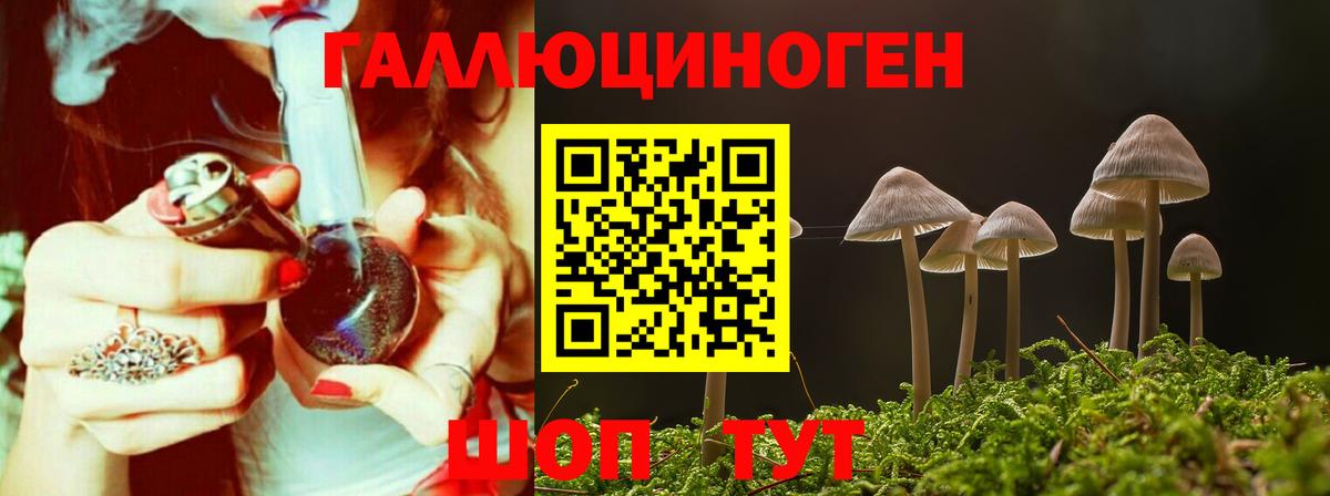 Галлюциногенные грибы GOLDEN TEACHER Таганрог